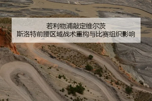 若利物浦敲定维尔茨 斯洛特前腰区域战术重构与比赛组织影响